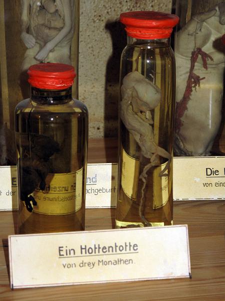 Waldenburg (11).JPG